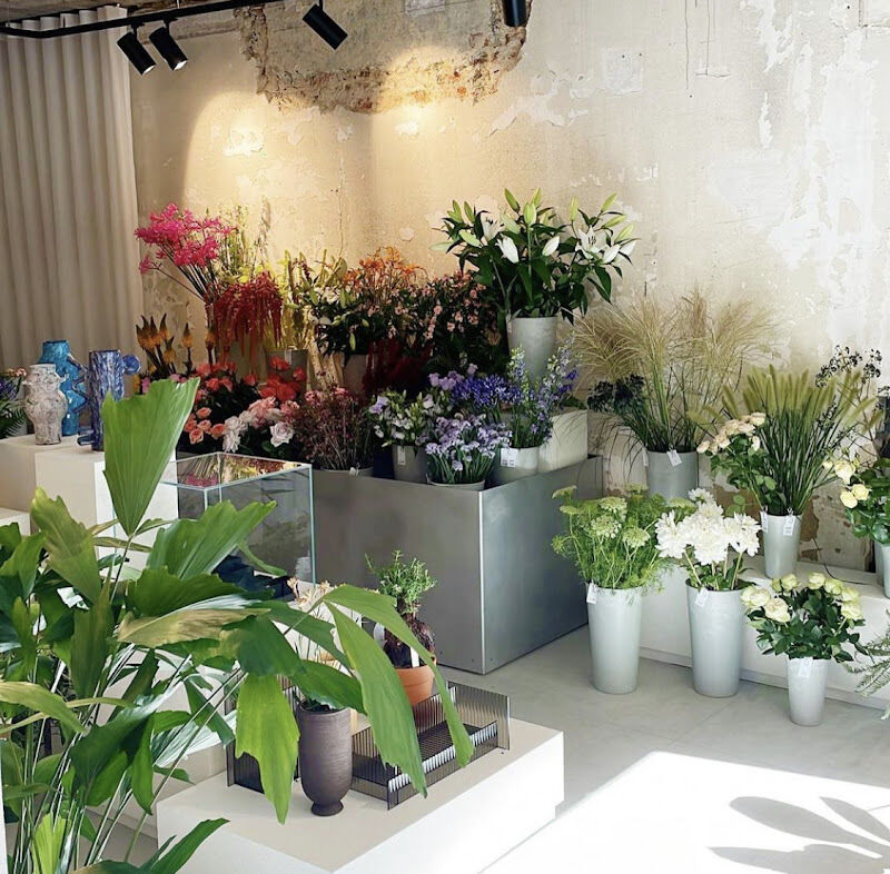 Foto van Owen - flowers & hurricanes