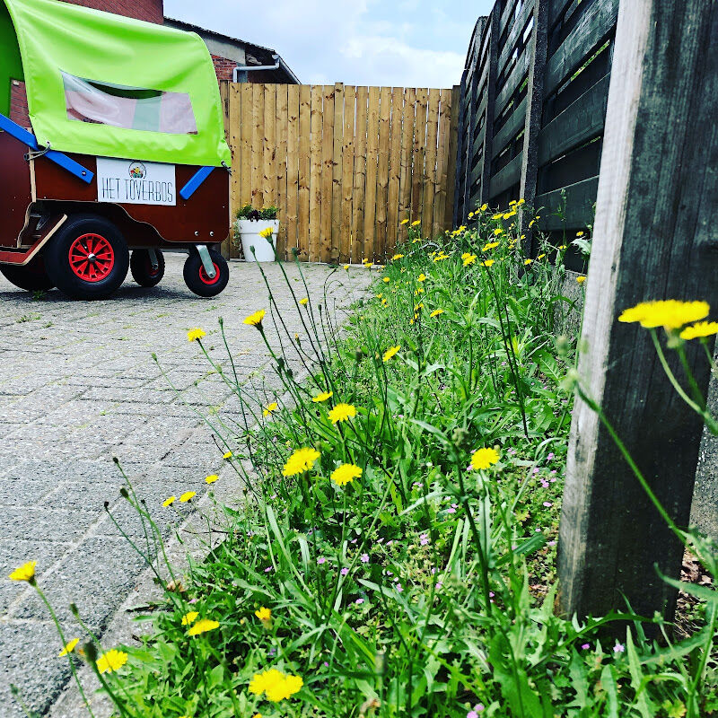 Foto van Kinderdagverblijf Het Toverbos
