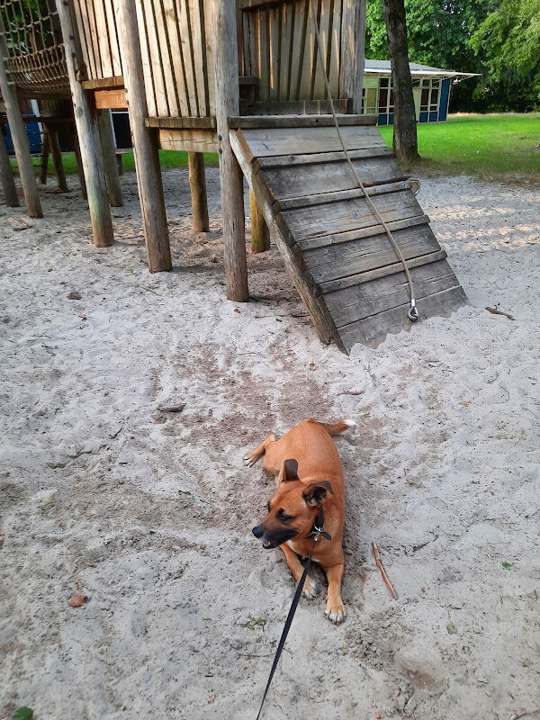 Foto van speelplein Berkenmei