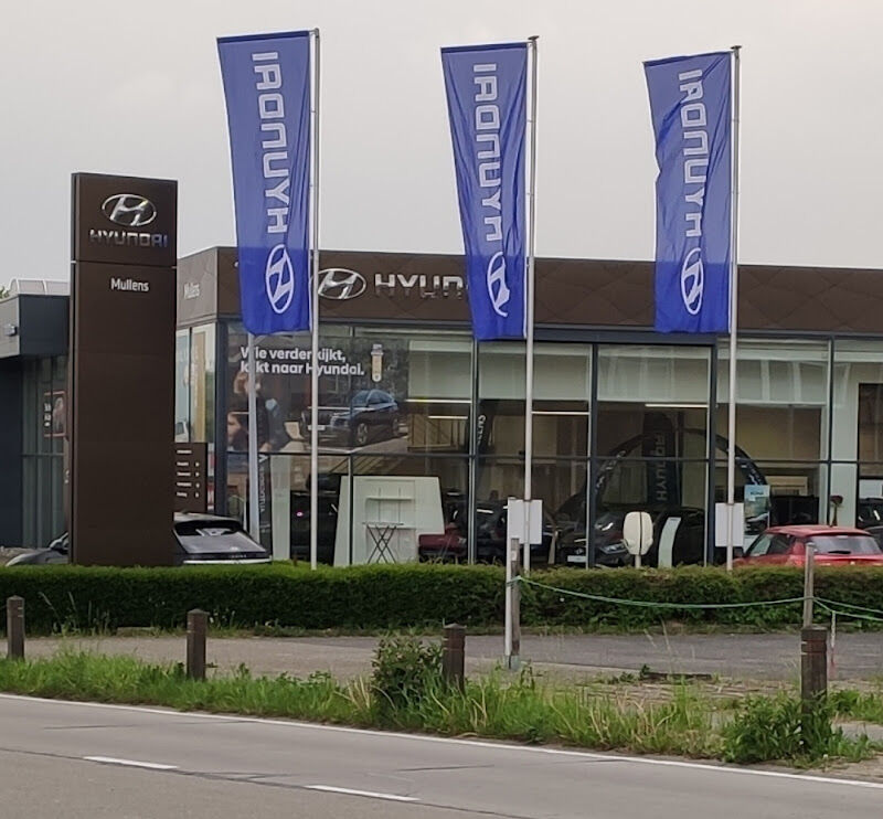 Foto van Hyundai Group Pashuysen Leuven