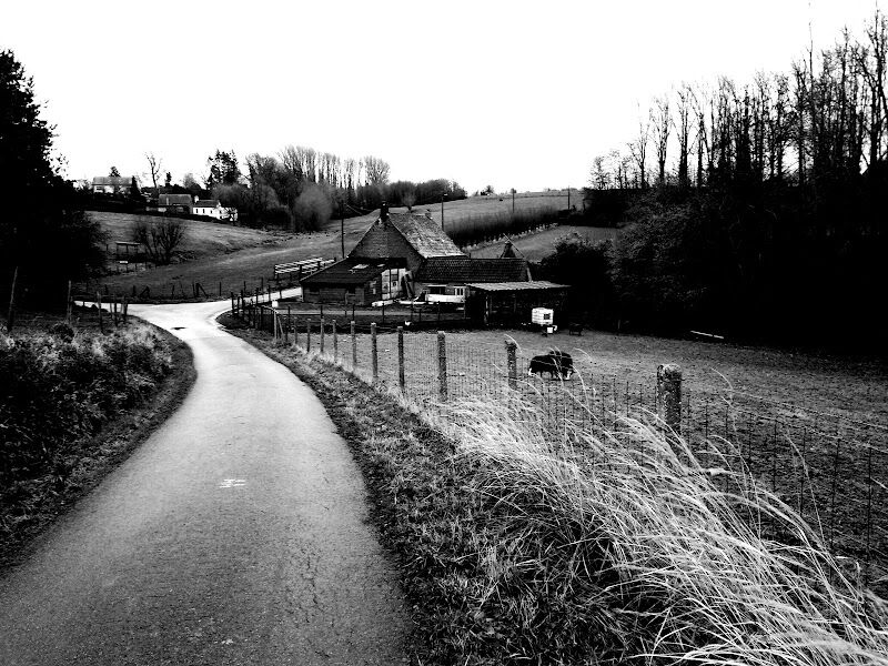 Foto van Route Omer Wattez