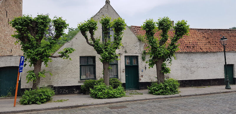Foto van Galerie Indigo Damme
