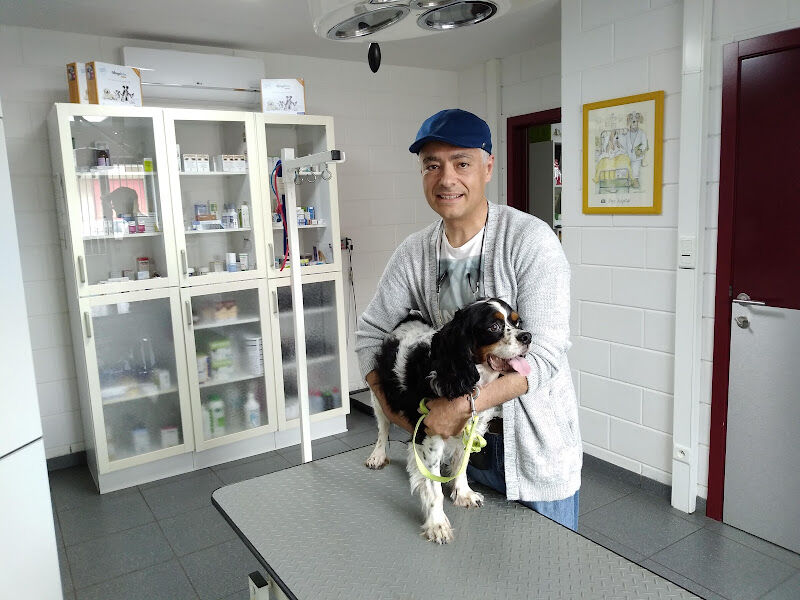 Foto van Dierenarts Jean Smits