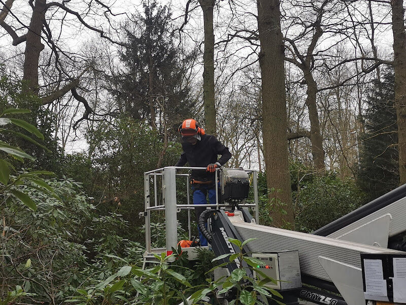Foto van De Kruin