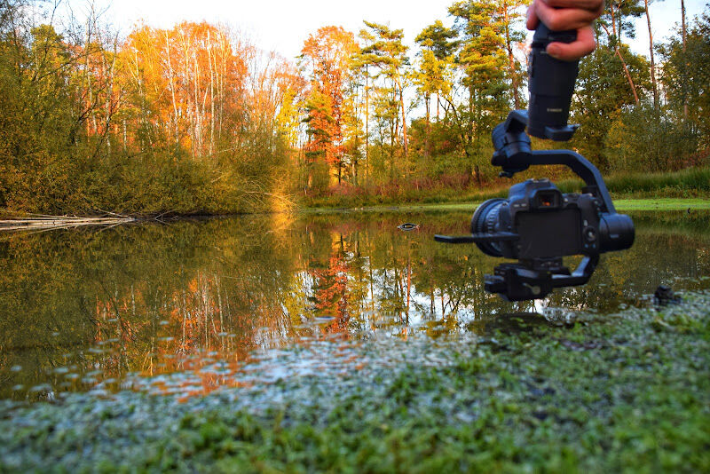 Foto van NewView Productions