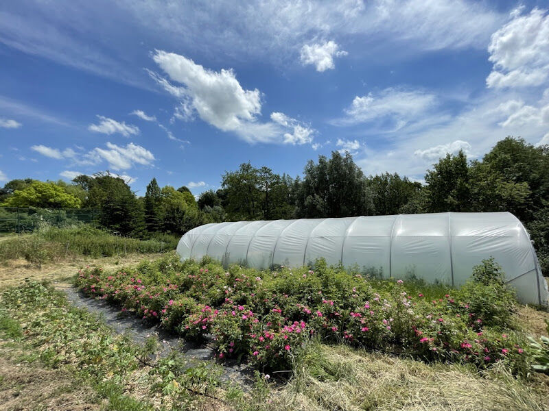 Foto van Jardin des Sens