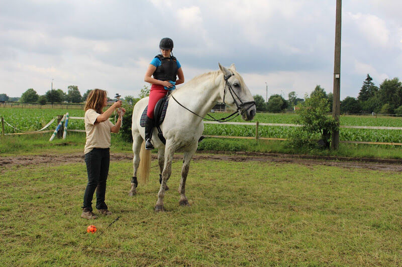 Foto van Horsesmind