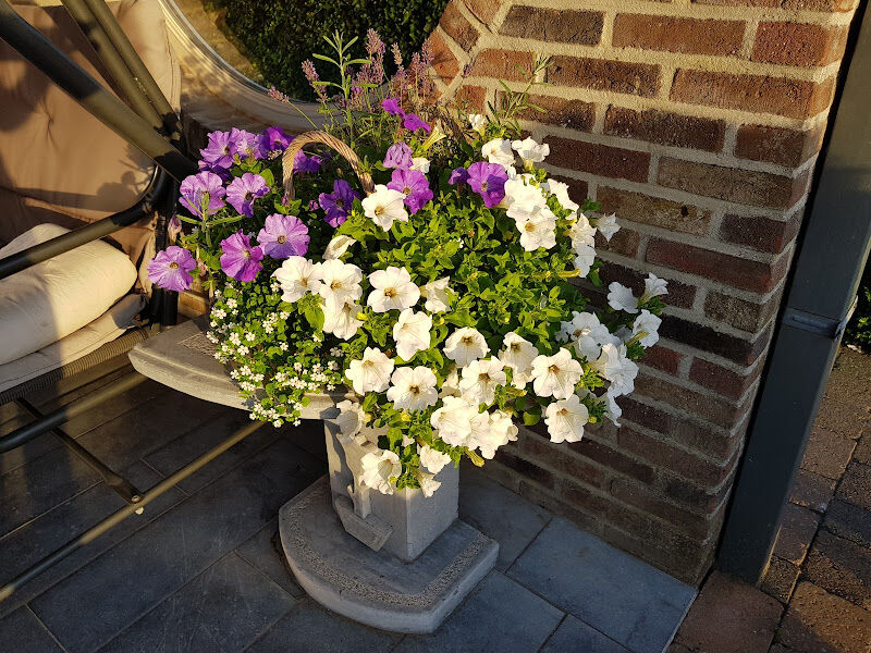 Foto van Margrietje ('t)