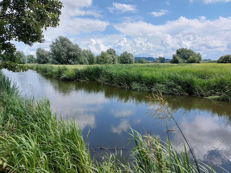 Foto van Scheldemeersen