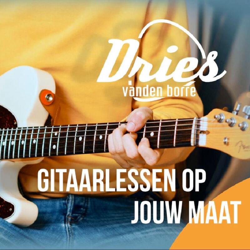 Foto van Gitaarlessen Dries Vanden Borre