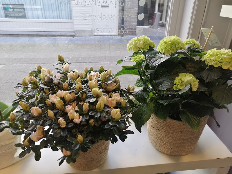 Foto van 't Groen Geweten
