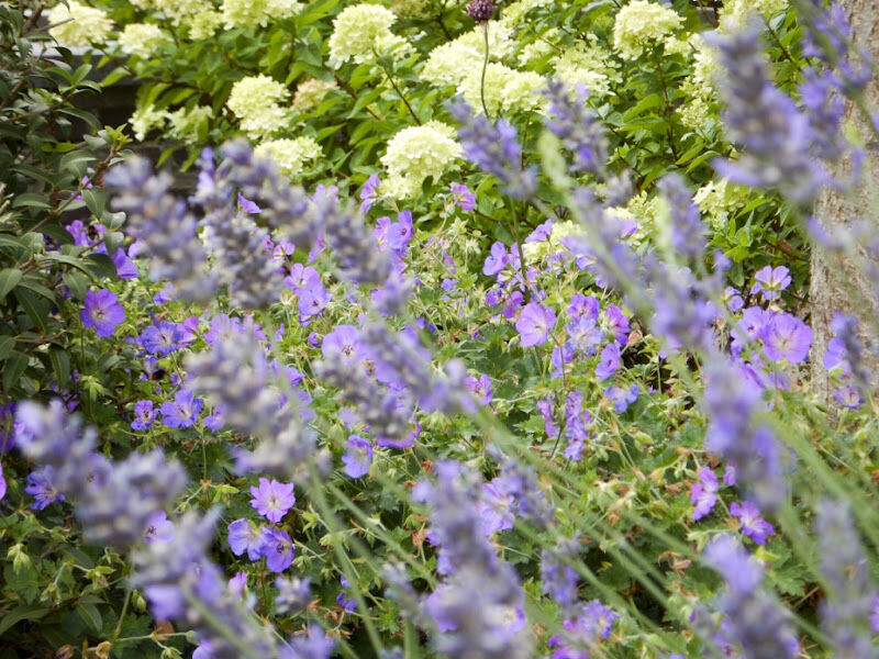 Foto van Tuinwerken Frederic Gillebert bvba