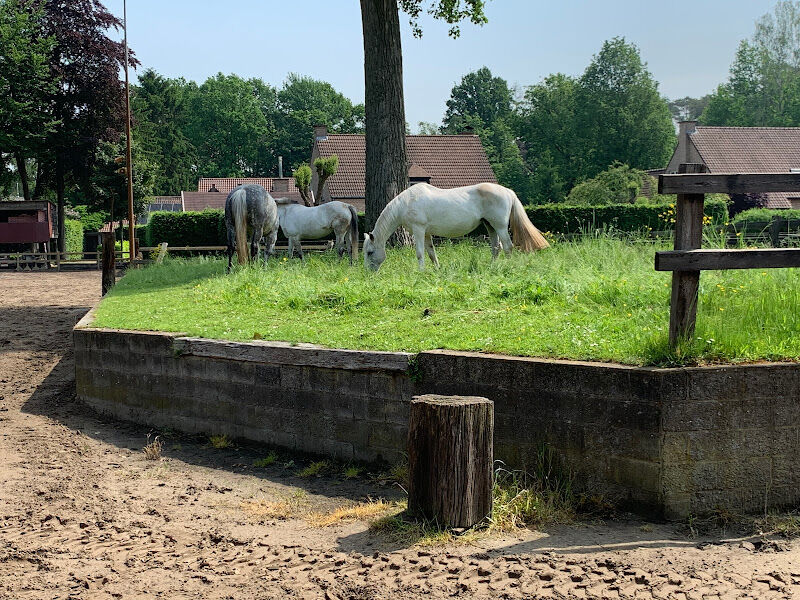 Foto van Manege Paddock