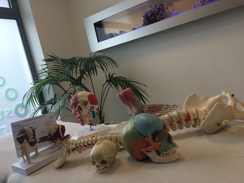 Foto van Michaël Dupont Osteopaat D.O.- Osteo Dupont
