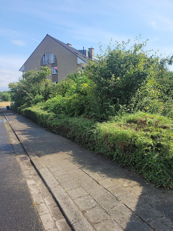 Foto van Tuin Onderhoud Vaeremans