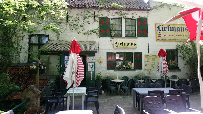 Foto van IJzerkotmolen