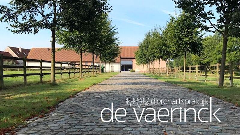 Foto van Dierenartspraktijk De Vaerinck