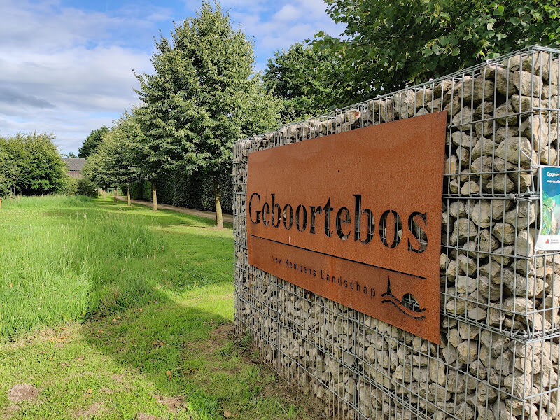 Foto van Geboortebos Borsbeek