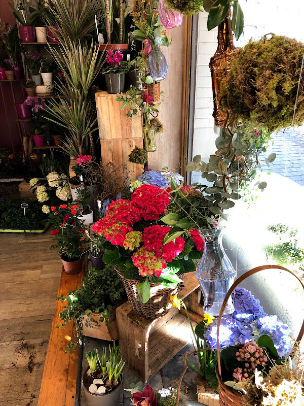 Foto van Cap Vert Fleuriste