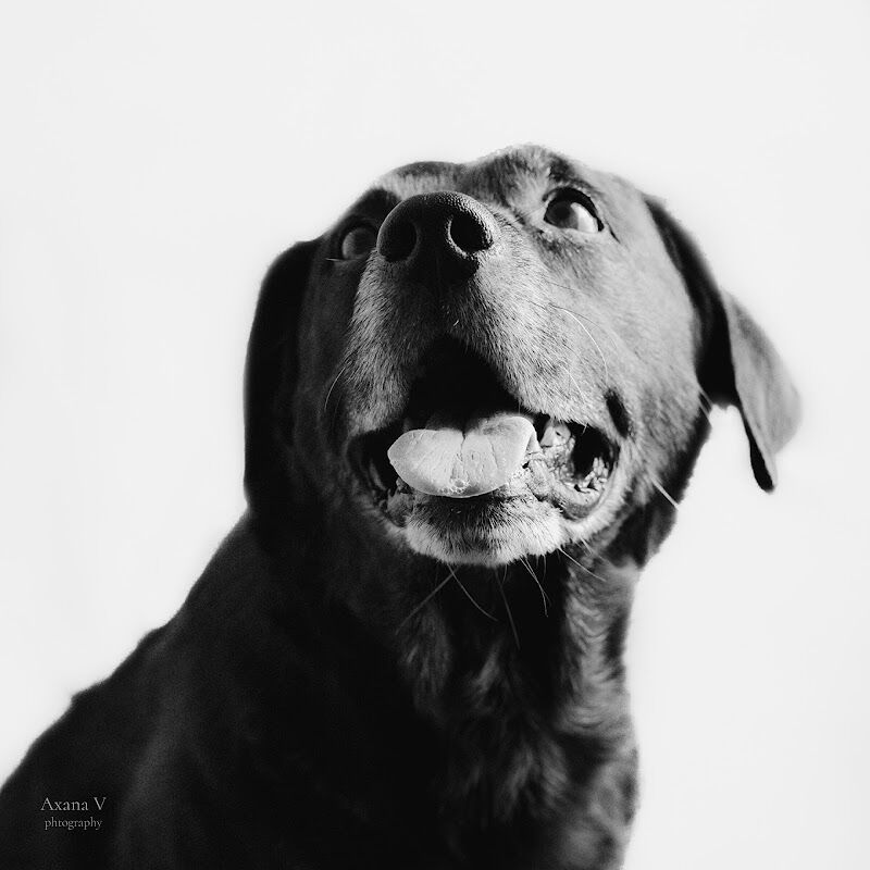 Foto van Axana V Photography