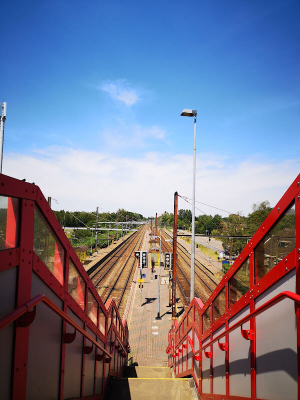 Foto van Sint-Katelijne-Waver