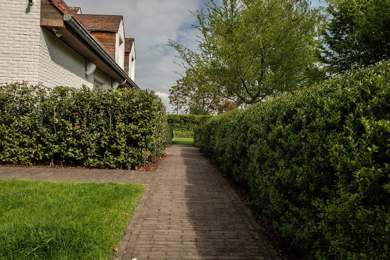 Foto van Gilles Cottyn