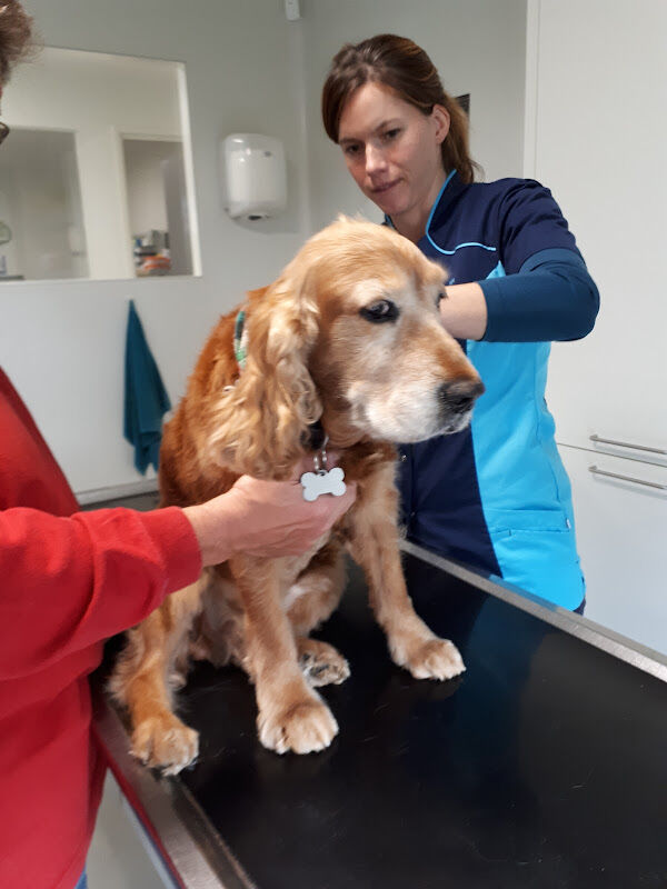Foto van Dierenkliniek De Morette