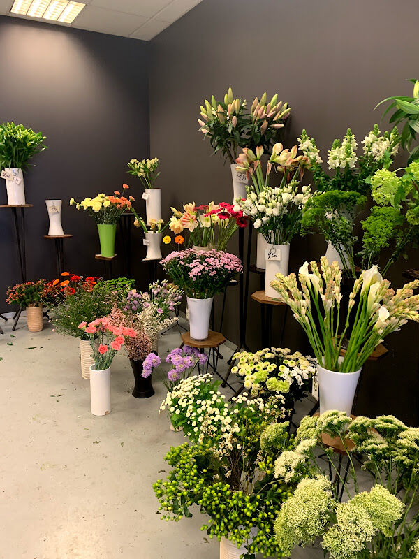 Foto van Jettie Bloemen