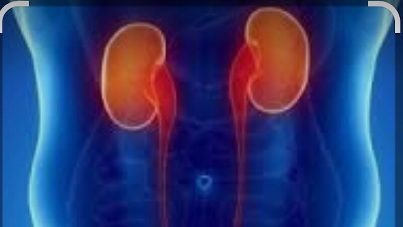 Foto van Dr Ayhan BAKAR Urologue - Urologist