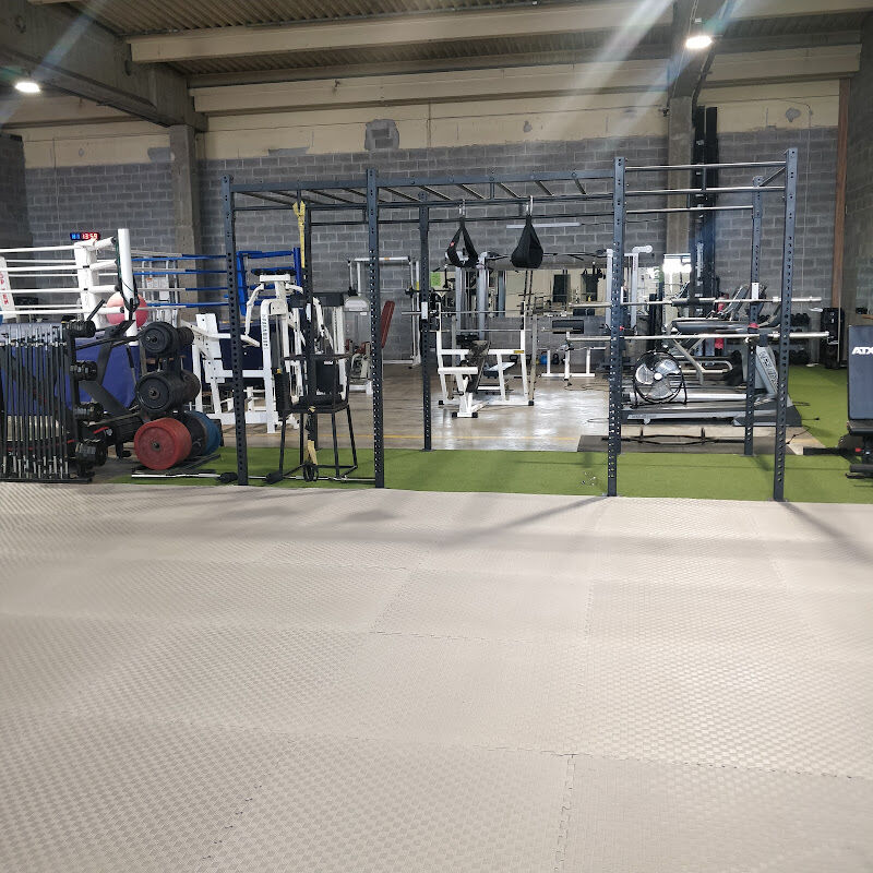 Foto van Celtix Bvba