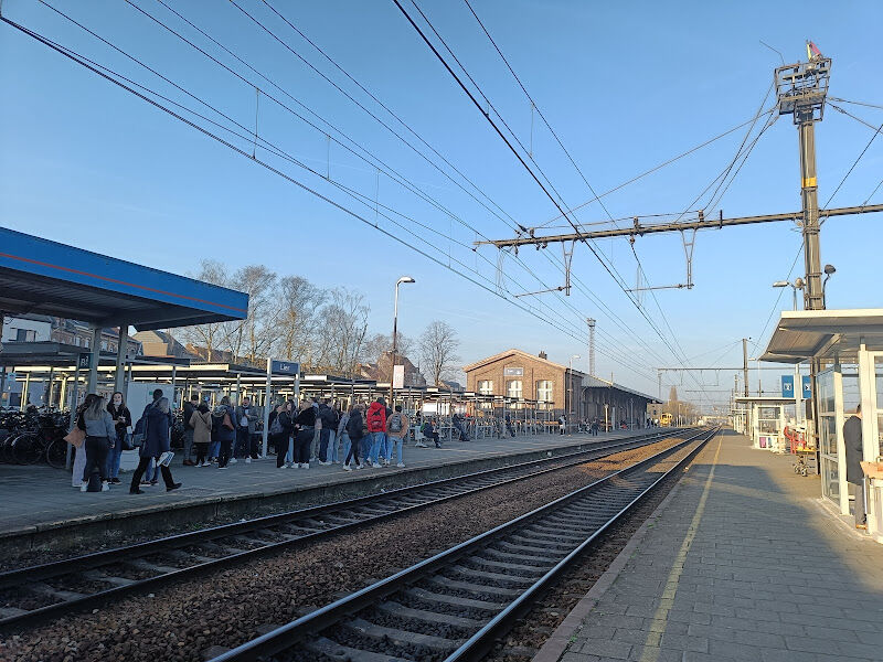Foto van Lier