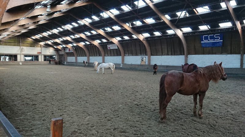 Foto van De Hoefslag