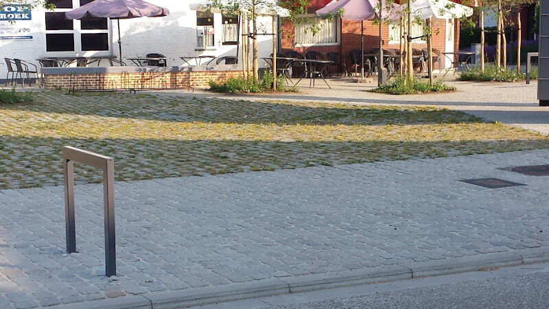 Foto van Wegeplant