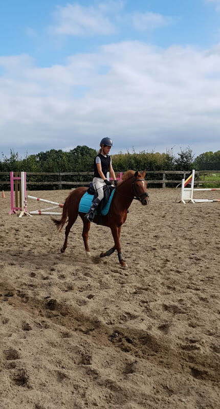 Foto van Paardenhouderij Hoeve De Bartvelden