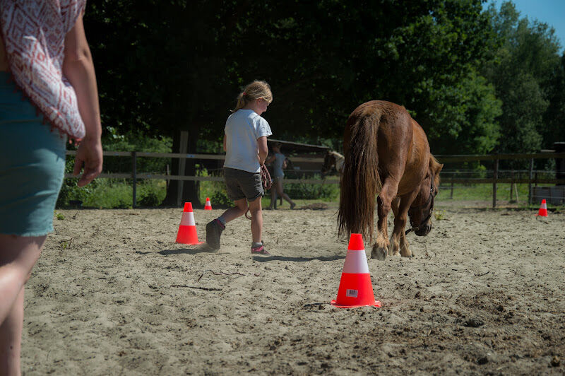 Foto van EquiMara