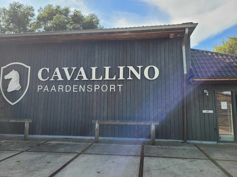 Foto van Paardensport Cavallino