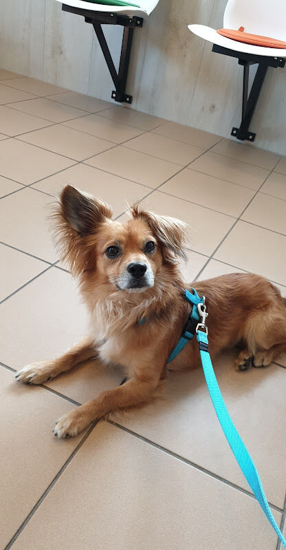 Foto van Dierenkliniek Zundert