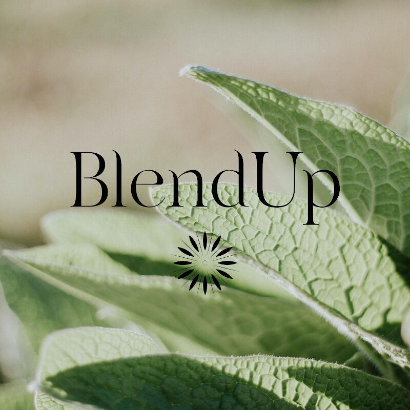 Foto van BlendUp