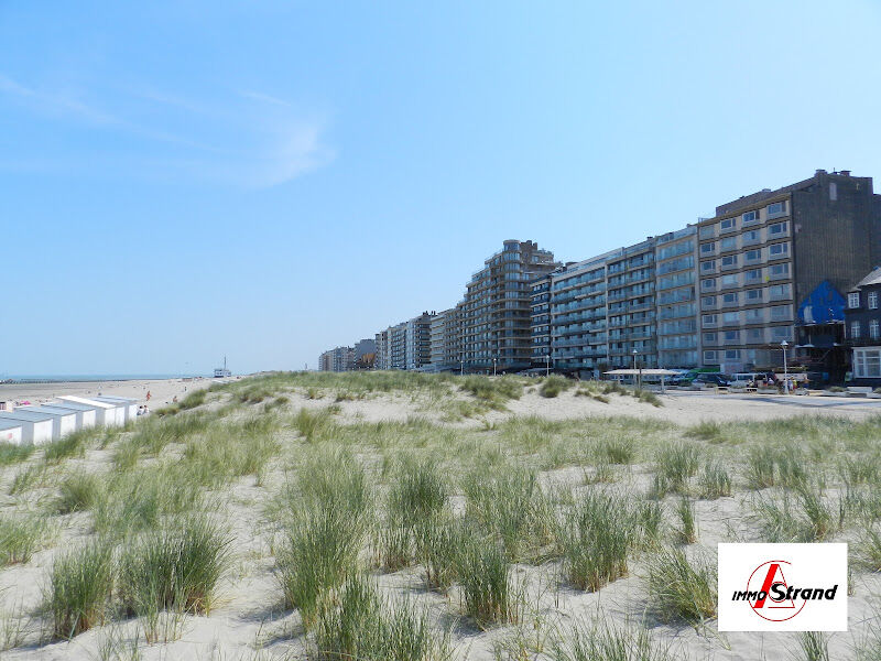 Foto van Immo Strand - vastgoedmakelaar