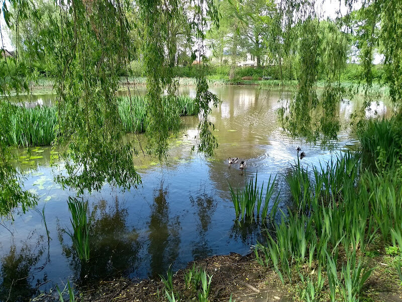 Foto van Villa Pax