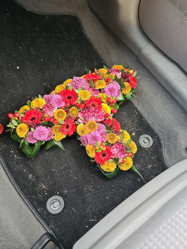 Foto van Papaver