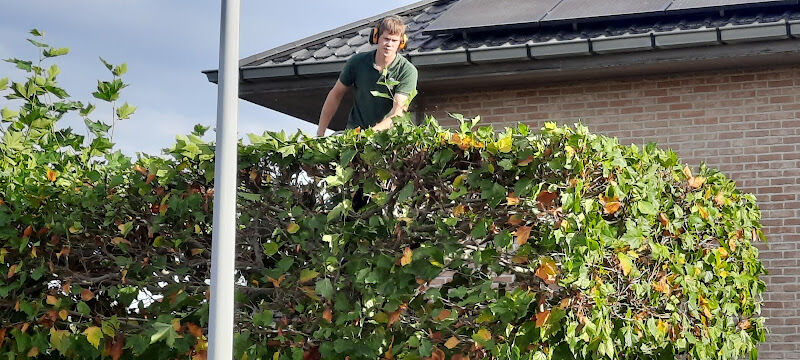 Foto van Tuinen Wout