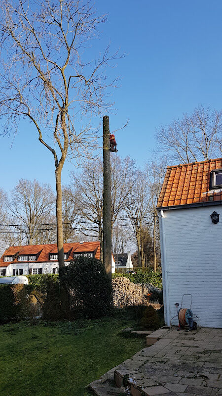 Foto van Vegetal Concept