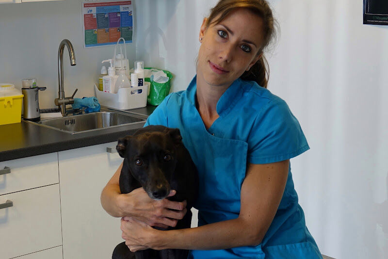 Foto van Dierenarts Liesbet Guillaume