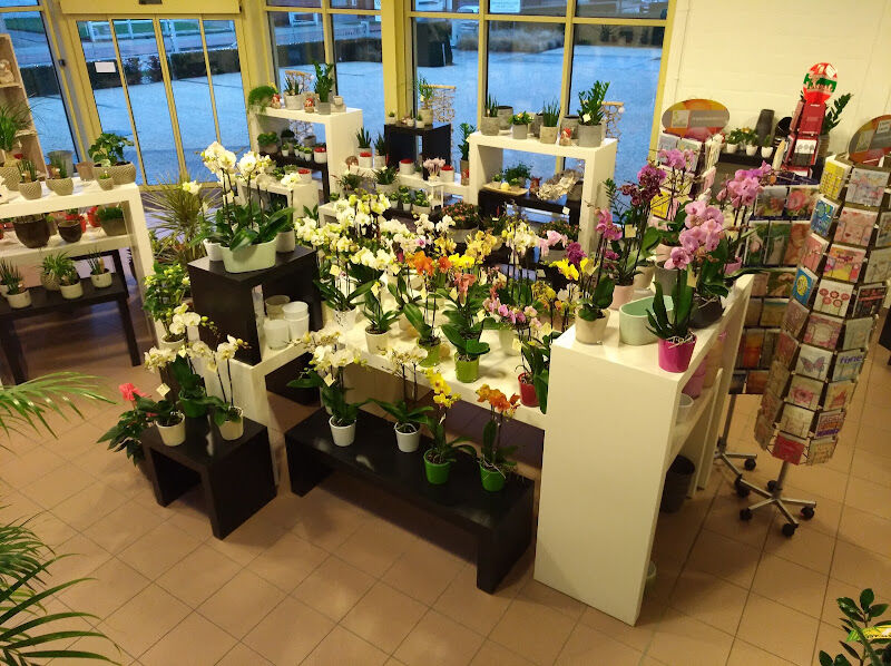 Foto van Van den Bossche Els