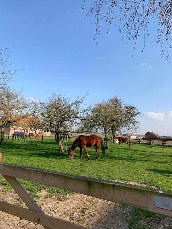Foto van De Bosdreefhoeve