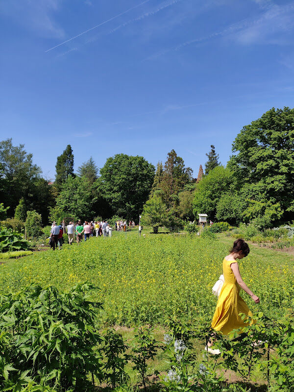 Foto van Botanische Tuin Jean Massart