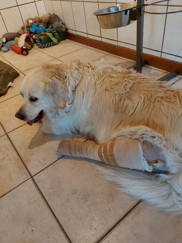 Foto van Bruckers / Theo