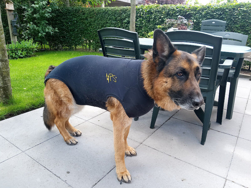 Foto van De Dierendokters