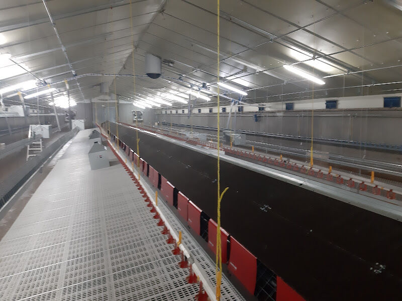 Foto van TiVerTec Bvba
